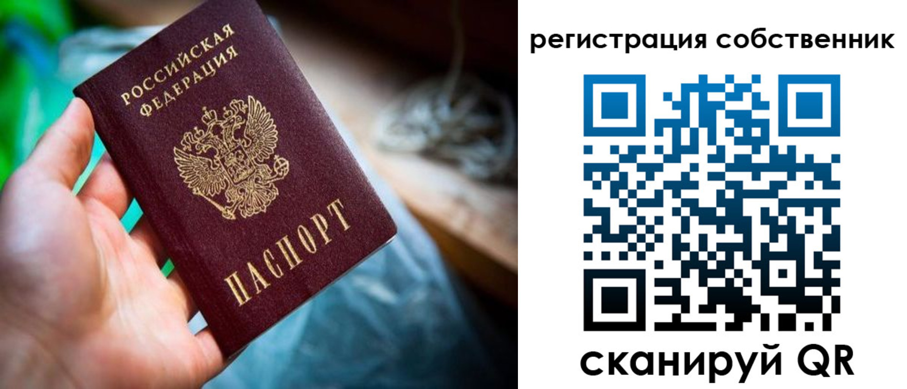 прописка гарантия в Сураже